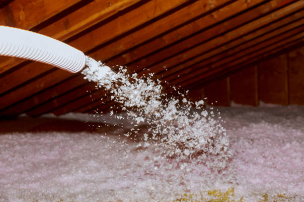 Best Types of Insulation in Drexel Heights, AZ