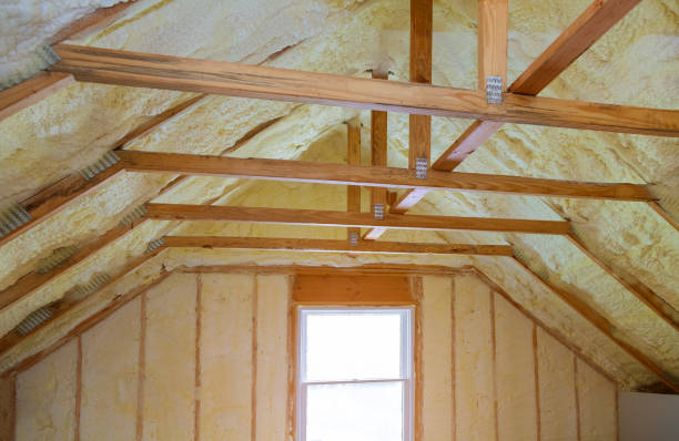 Best Insulation Maintenance and Repair in Drexel Heights, AZ